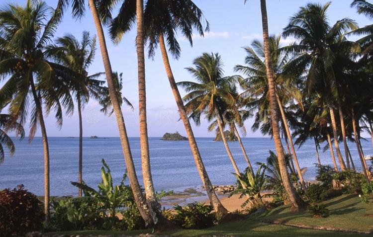 Islands;Taveuni;Fiji;palm trees;sky;water